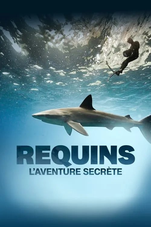 Sharks: The Secret Adventure