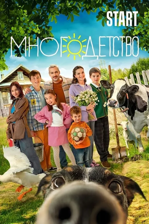 Многодетство (сериал)