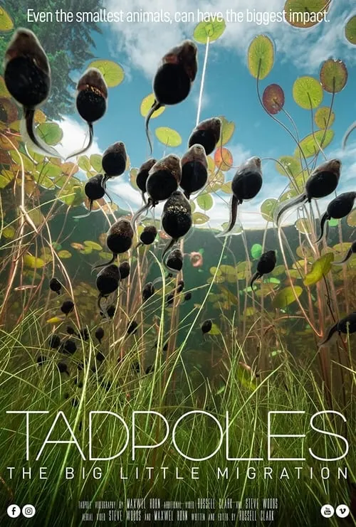 Tadpoles: The Big Little Migration (movie)