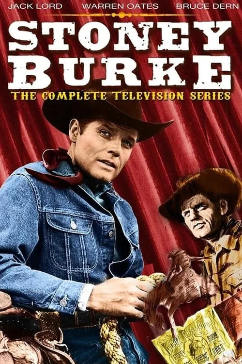 Stoney Burke (series)