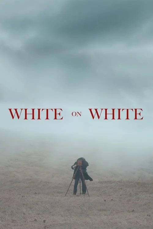 Белым по белому
