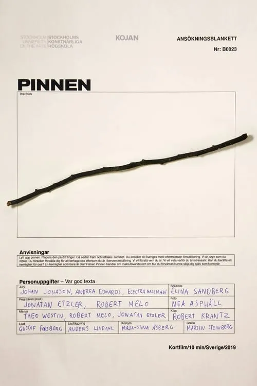 Pinnen