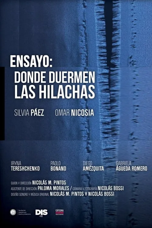 Ensayo: Donde duermen las hilachas