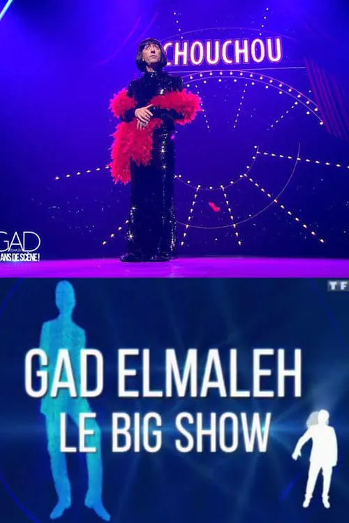 Gad Elmaleh - Le Big Show (movie)