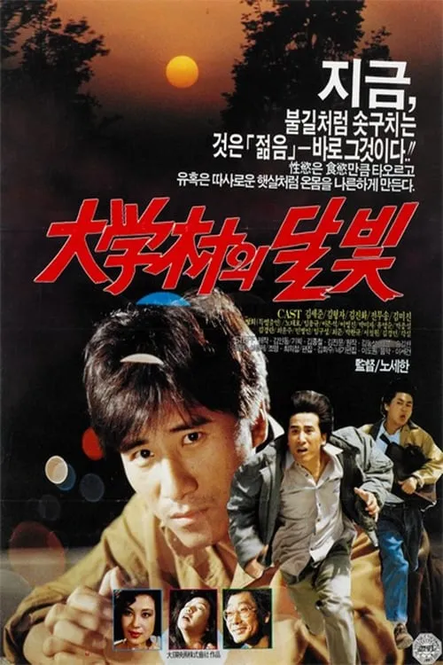 Moonlight in the University Town (movie)