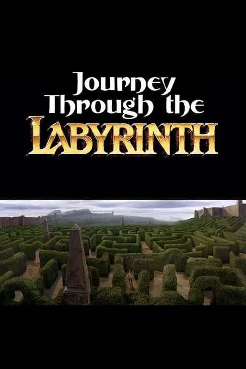 Journey Through the Labyrinth (movie)