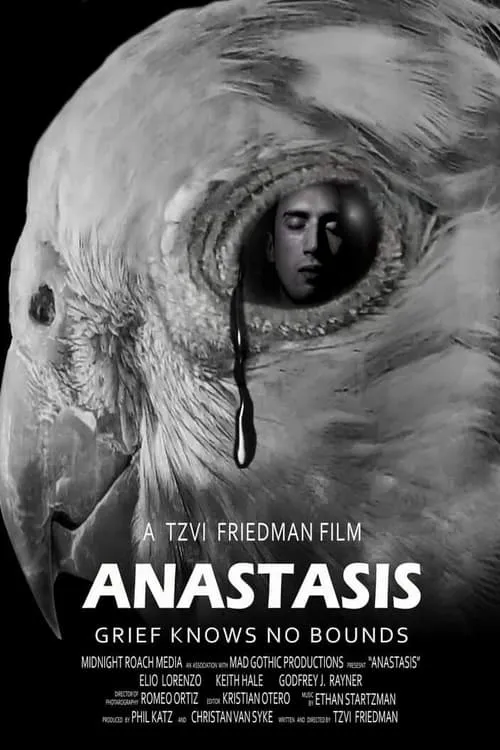 Anastasis (фильм)