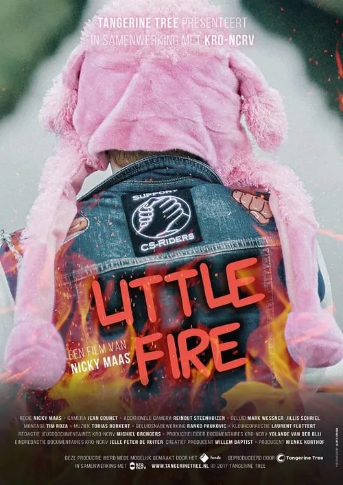 Little Fire (фильм)