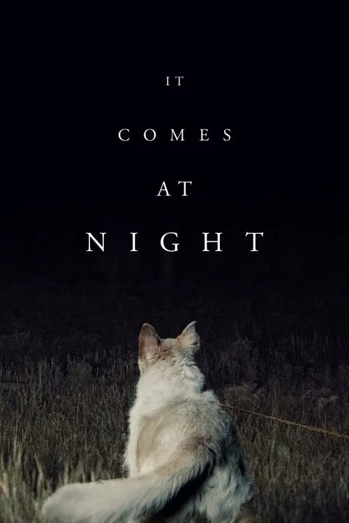 It Comes at Night (movie)
