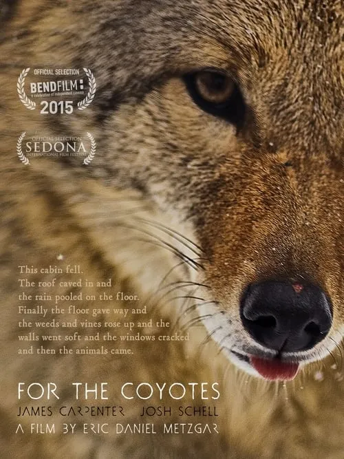 For the Coyotes (movie)