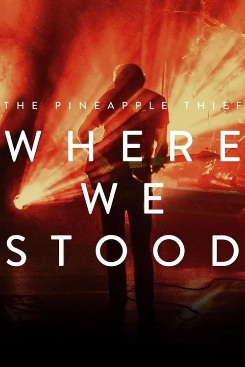 The Pineapple Thief: Where We Stood (фильм)