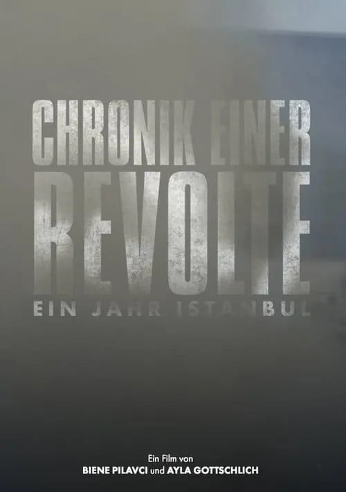 Chronicle of a Revolt: One Year Istanbul