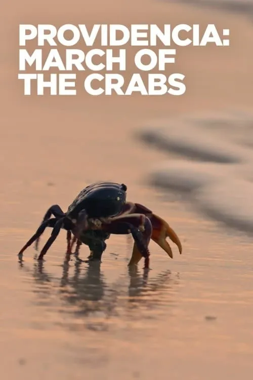 Providencia March of the Crabs (movie)