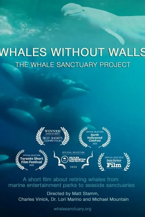 Whales Without Walls (movie)