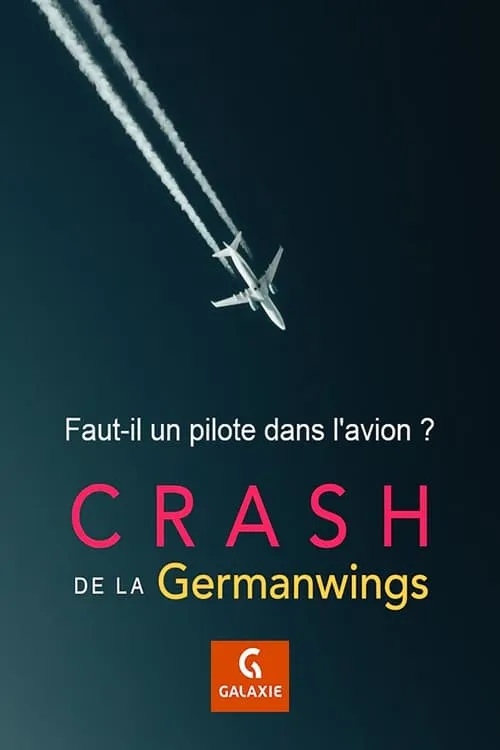 Faut-il un pilote dans l'avion ? (movie)