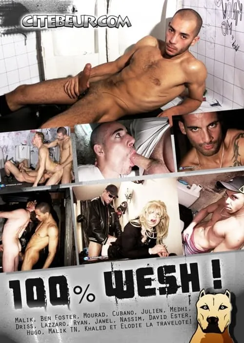 100% Wesh! (фильм)