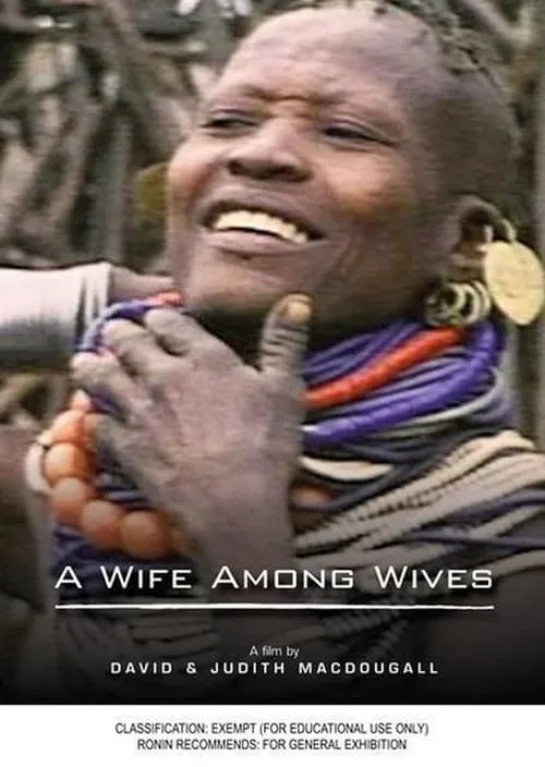 A Wife Among Wives (movie)