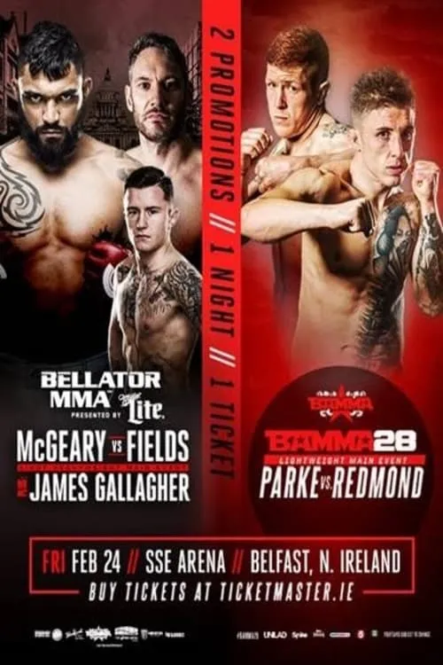 Bellator 173: McGeary vs. McDermott (movie)