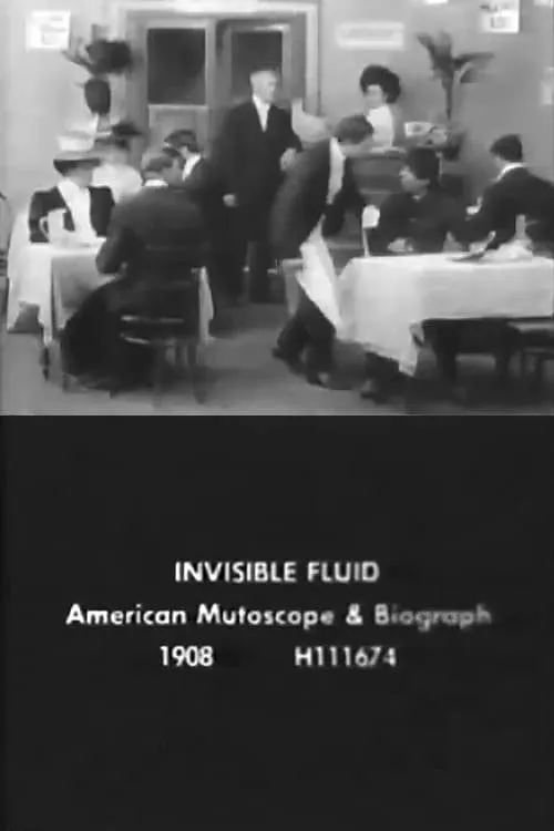 The Invisible Fluid (movie)