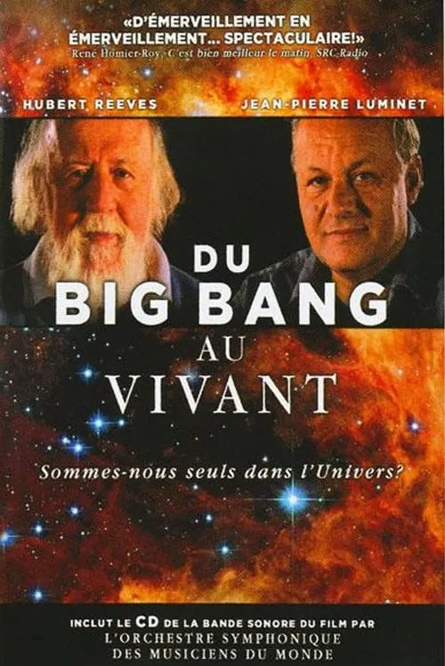 Du Big Bang au vivant (series)