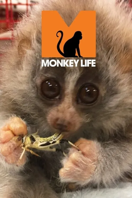 Monkey Life (сериал)