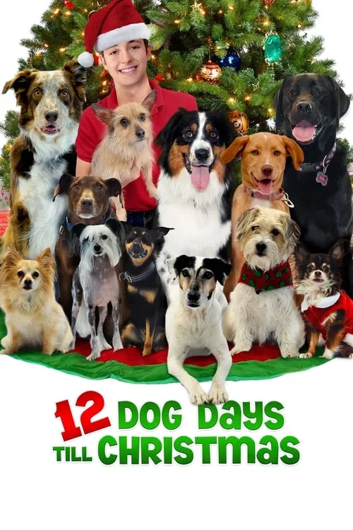 12 Dog Days Till Christmas (фильм)