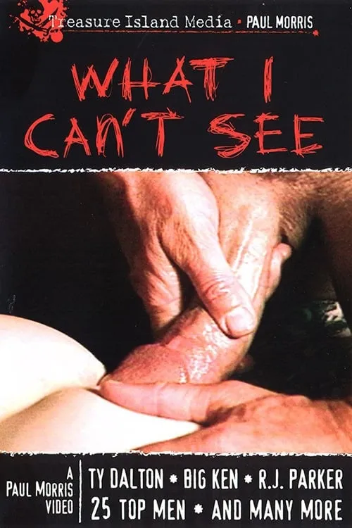 What I Can't See (фильм)