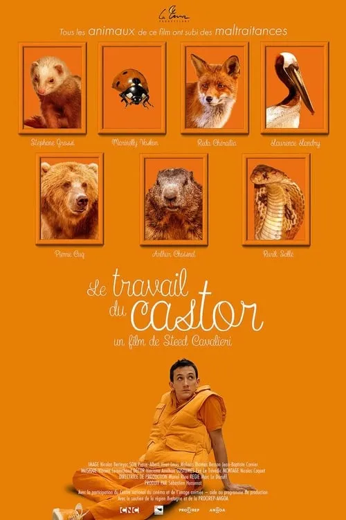 Le Travail du castor (movie)