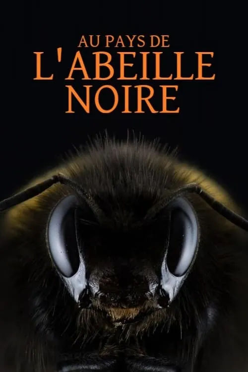 Au pays de l'abeille noire