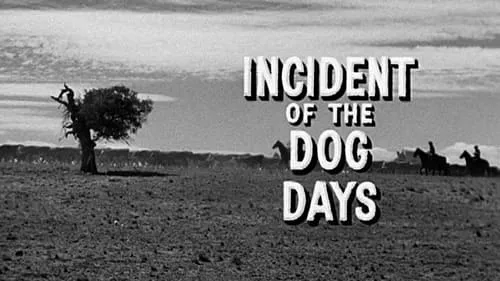 Incident of the Dog Days