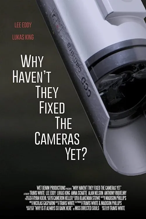 Why Haven't They Fixed the Cameras Yet? (movie)