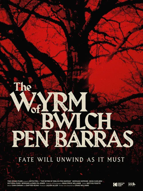 The Wyrm of Bwlch Pen Barras (фильм)