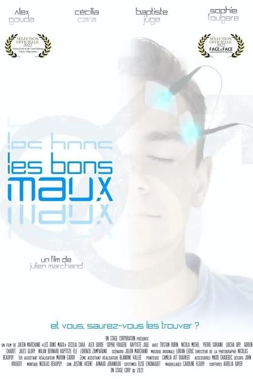 Les bons maux (фильм)