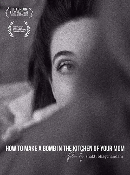 How to Make a Bomb in the Kitchen of Your Mom (movie)