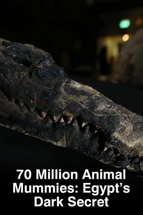 70 Million Animal Mummies: Egypt's Dark Secret