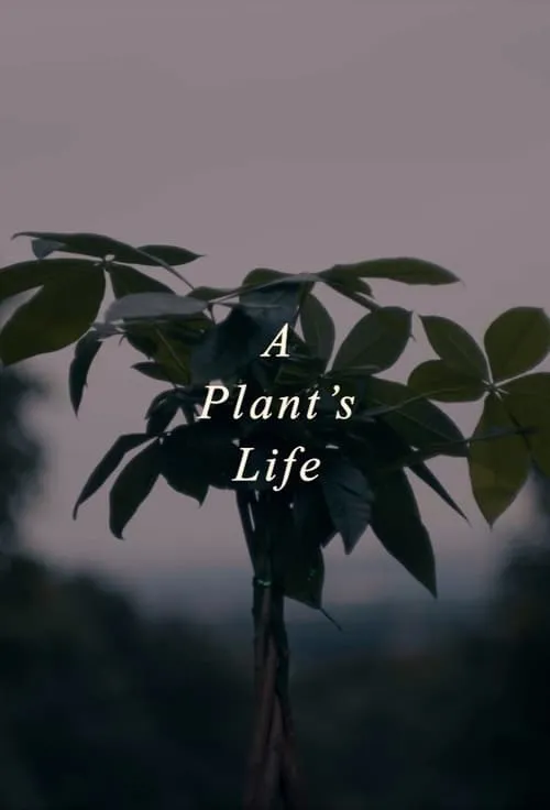 A Plant's Life