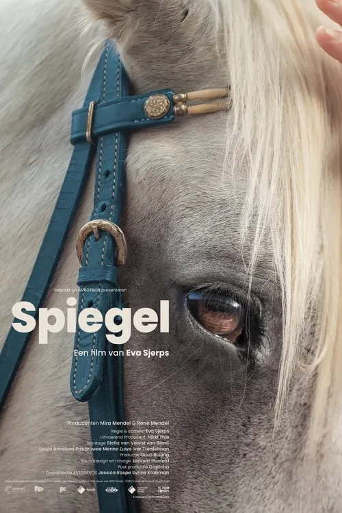 Spiegel (фильм)