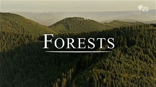 Forests