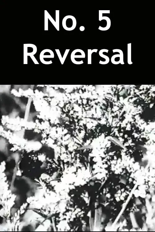 No. 5 Reversal (movie)