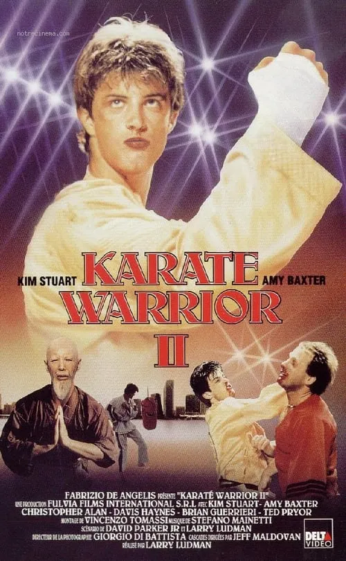 Karate Warrior 2 (movie)