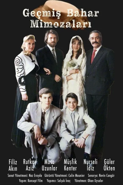 Geçmiş Bahar Mimozaları (series)