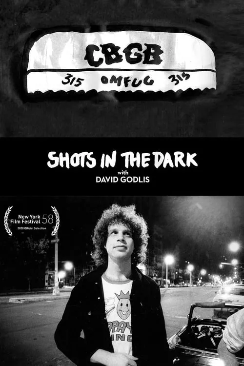 Shots in the Dark with David Godlis (movie)