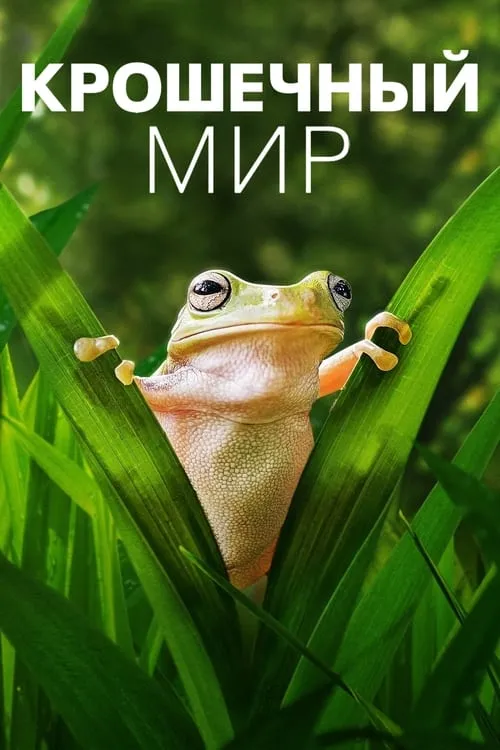 Крошечный мир (сериал)