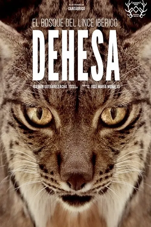 Dehesa: The Forest of the Iberian Lynx (movie)