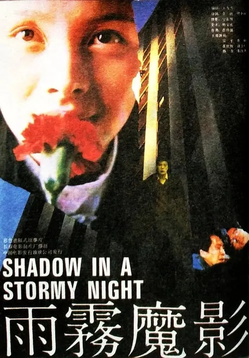 Shadow in a Stormy Night (movie)