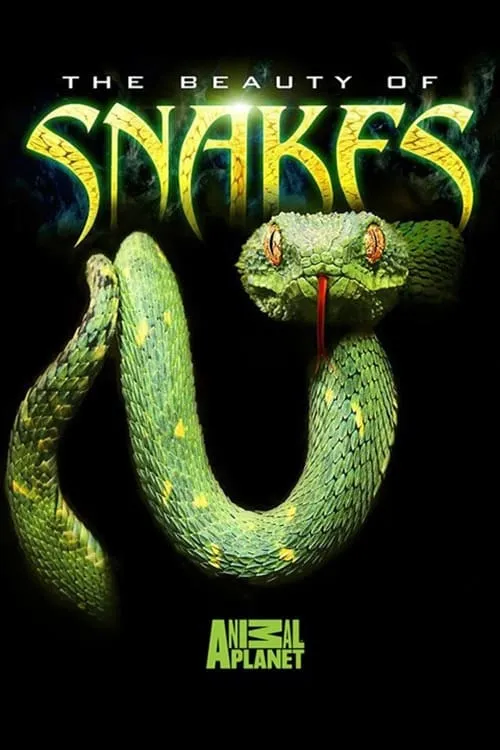 The Beauty of Snakes (movie)