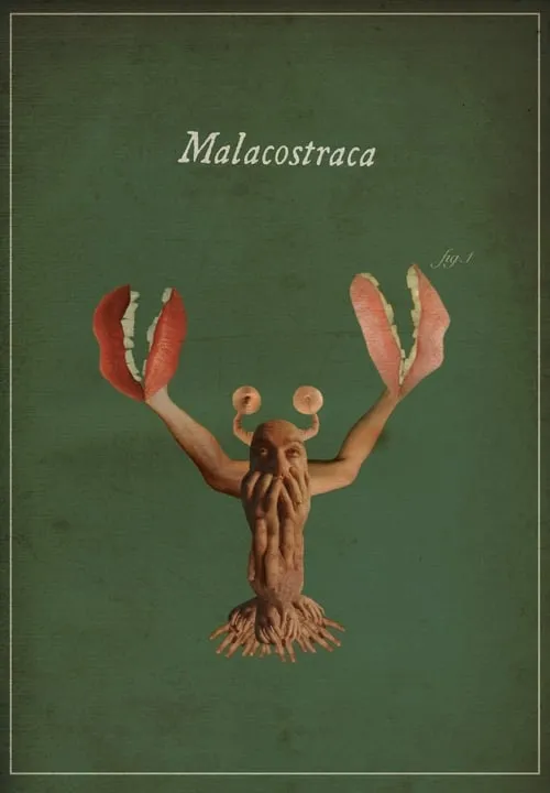 Malacostraca