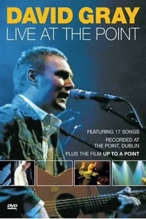 David Gray: Live at the Point (movie)