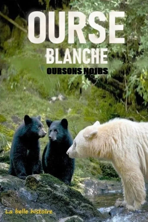 Ourse blanche, oursons noirs : la belle histoire (movie)