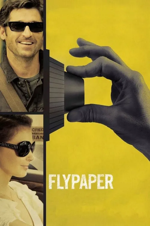 Flypaper (movie)